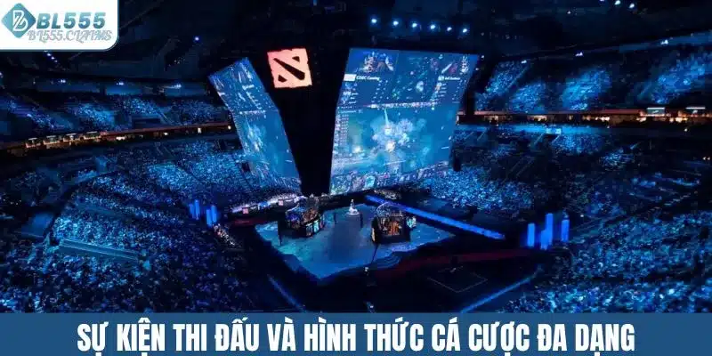 Sự kiện thi đấu và hình thức cá cược đa dạng
